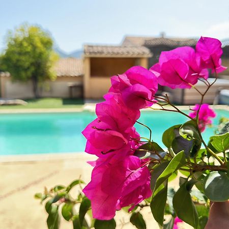 2 Hebergements - 10 Couchages - Parking, Piscine, Jacuzzi - Convivialite Roquebrune-sur Argens Esterno foto