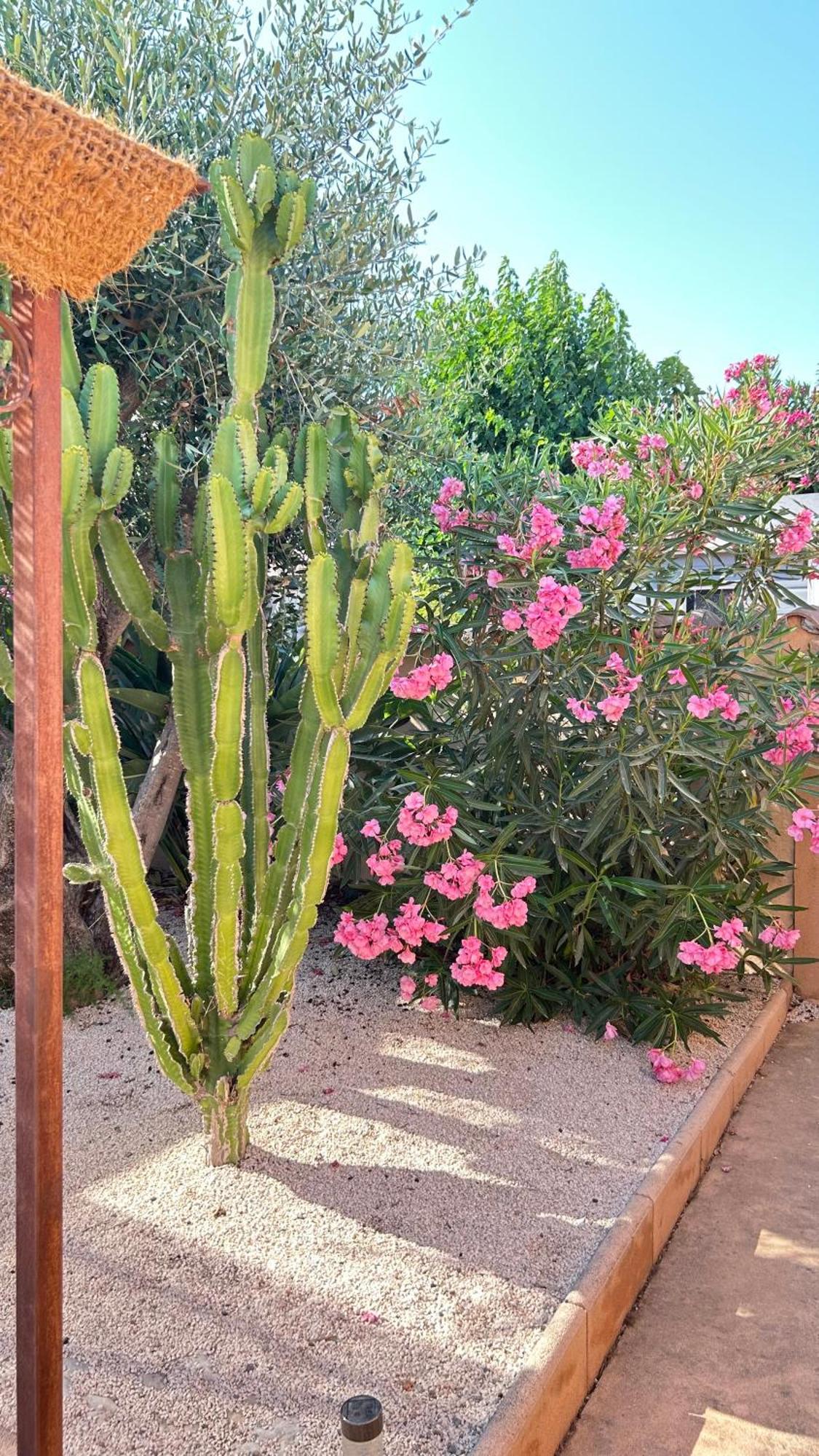 2 Hebergements - 10 Couchages - Parking, Piscine, Jacuzzi - Convivialite Roquebrune-sur Argens Esterno foto