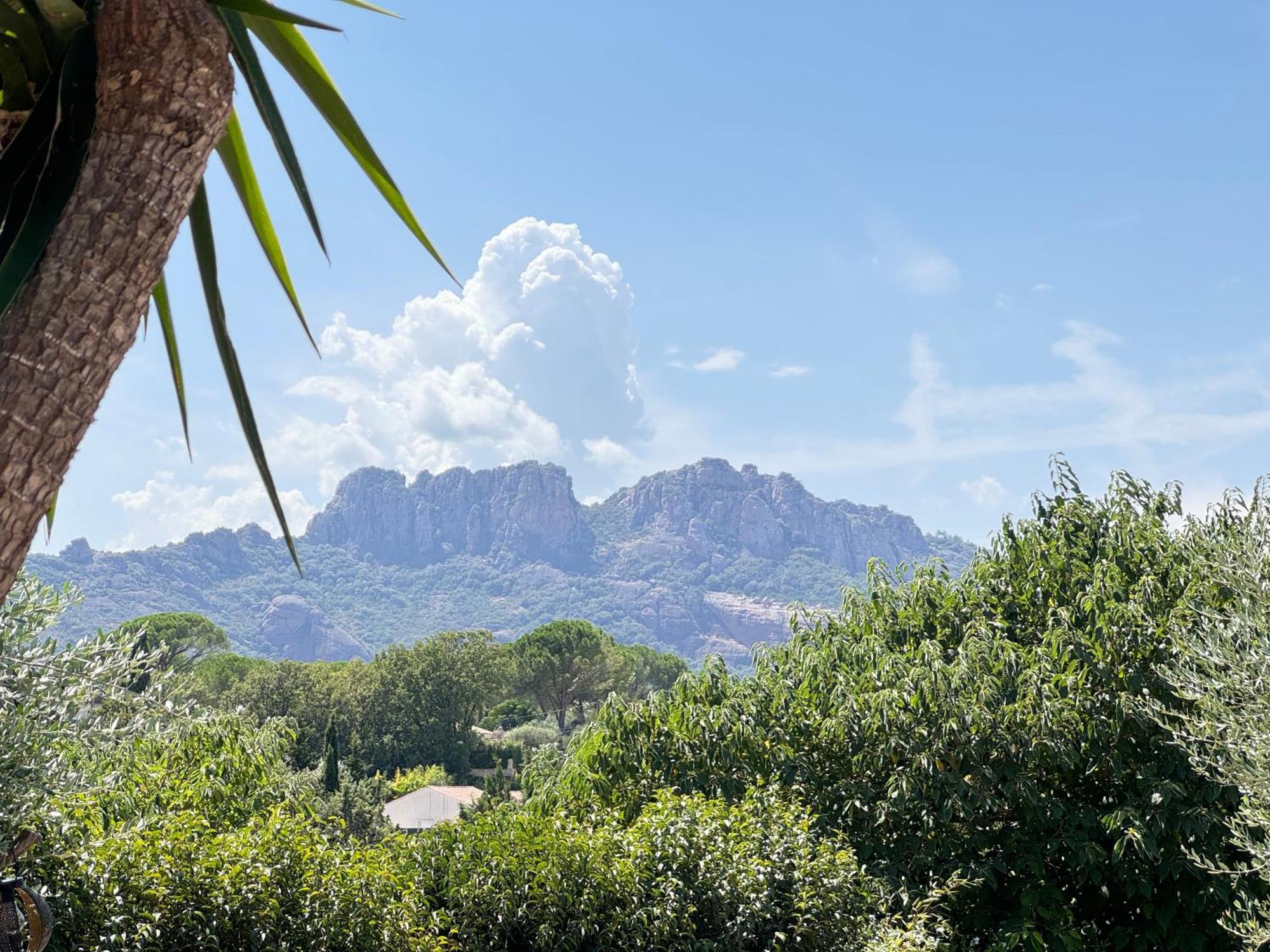 2 Hebergements - 10 Couchages - Parking, Piscine, Jacuzzi - Convivialite Roquebrune-sur Argens Esterno foto
